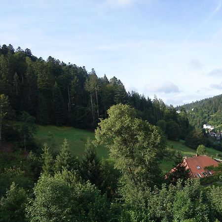 Ferienwohnung Zum Schwalbennest Todtmoos Exterior foto