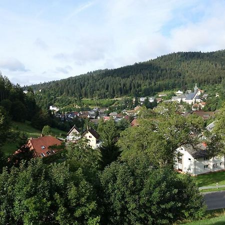 Ferienwohnung Zum Schwalbennest Todtmoos Exterior foto