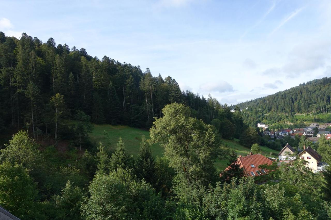 Ferienwohnung Zum Schwalbennest Todtmoos Exterior foto
