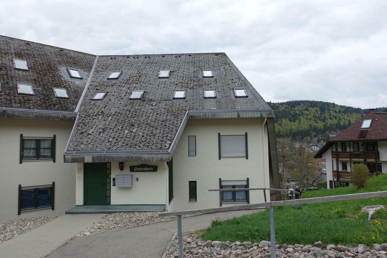 Ferienwohnung Zum Schwalbennest Todtmoos Exterior foto