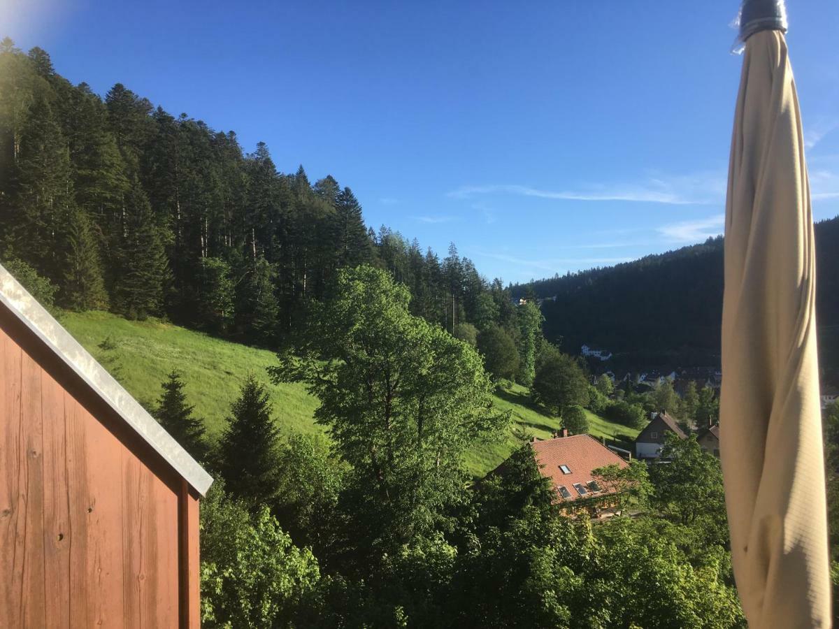 Ferienwohnung Zum Schwalbennest Todtmoos Exterior foto