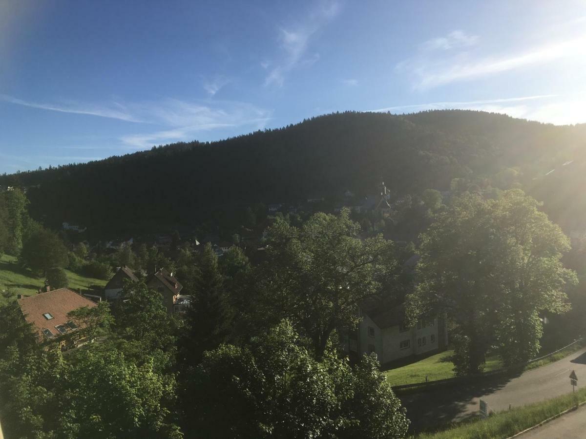 Ferienwohnung Zum Schwalbennest Todtmoos Exterior foto
